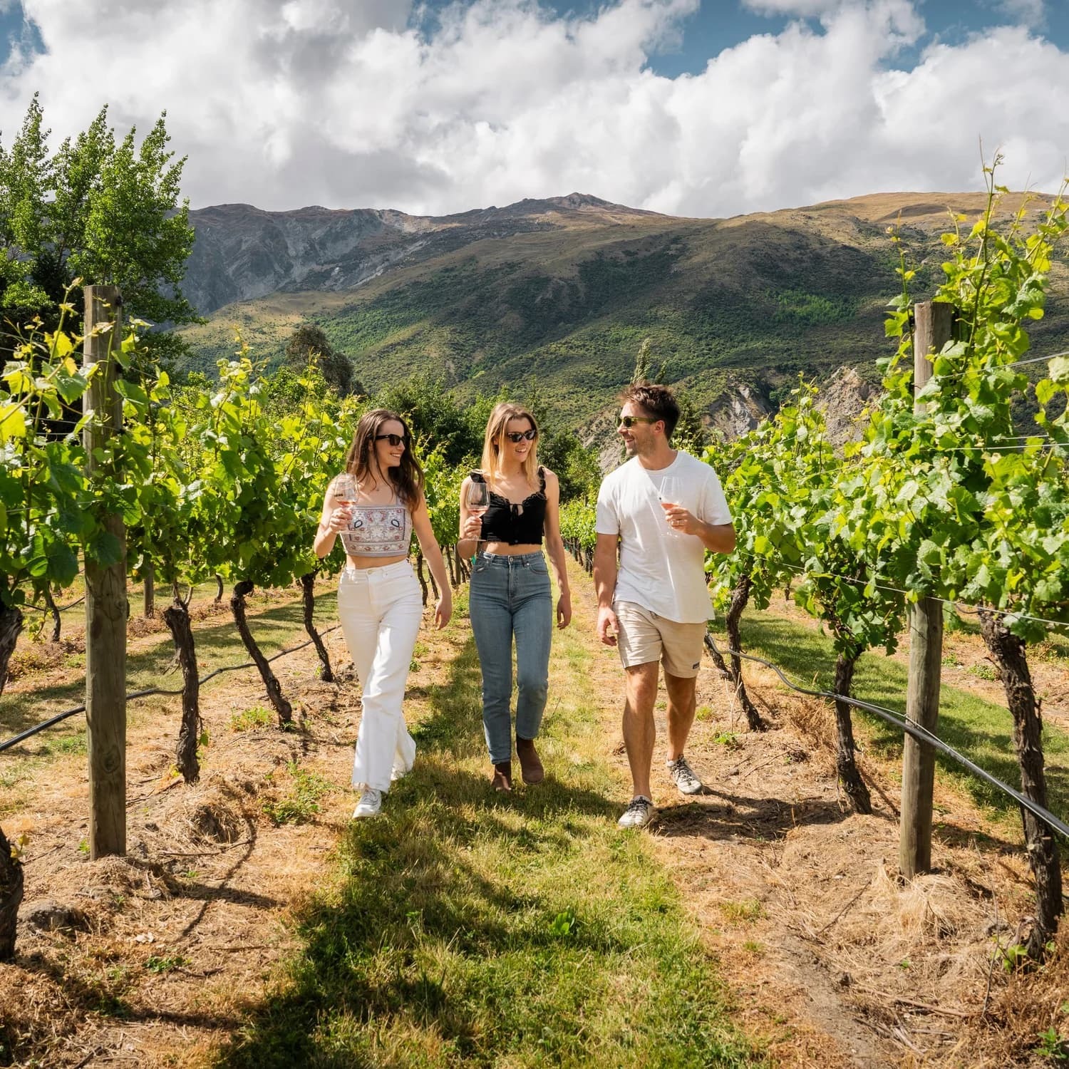 Aa29358188d77641ad770df81d19f90a97e05486